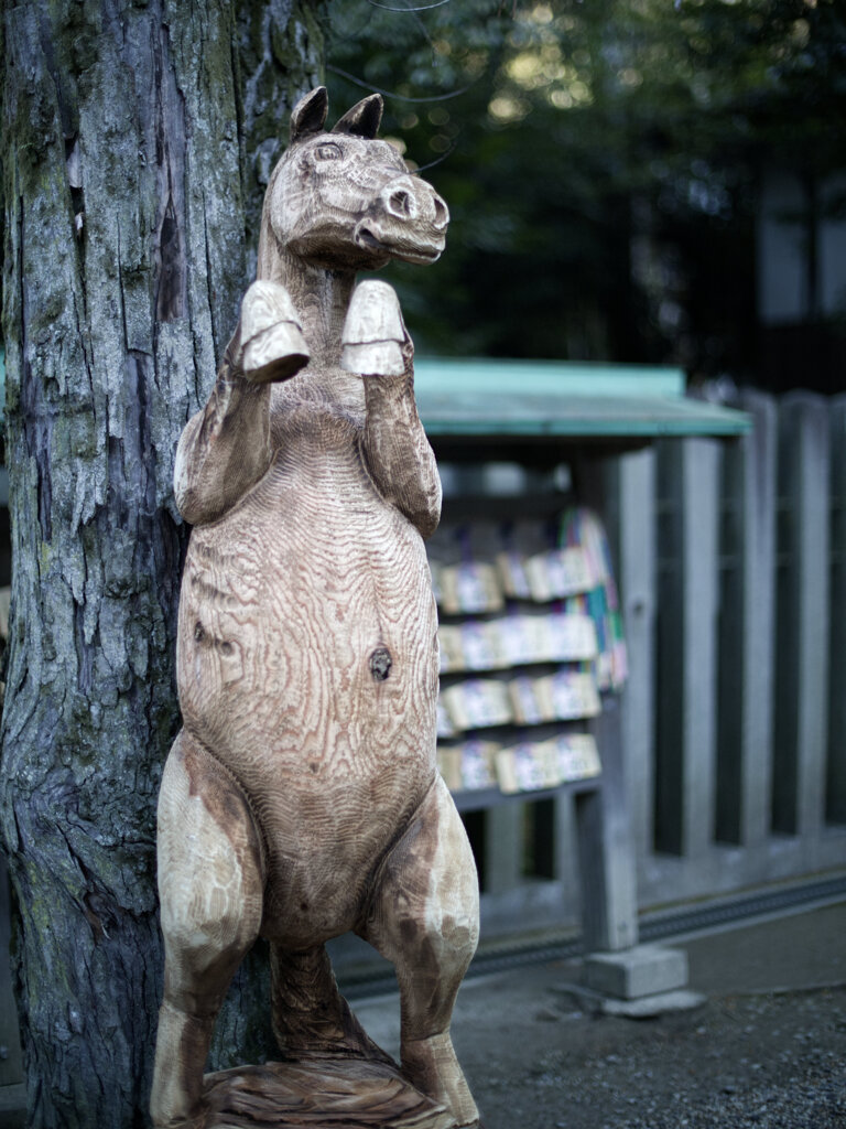 馬（午）のふり見て・・