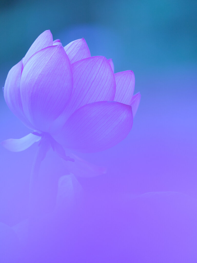 一日の始まり