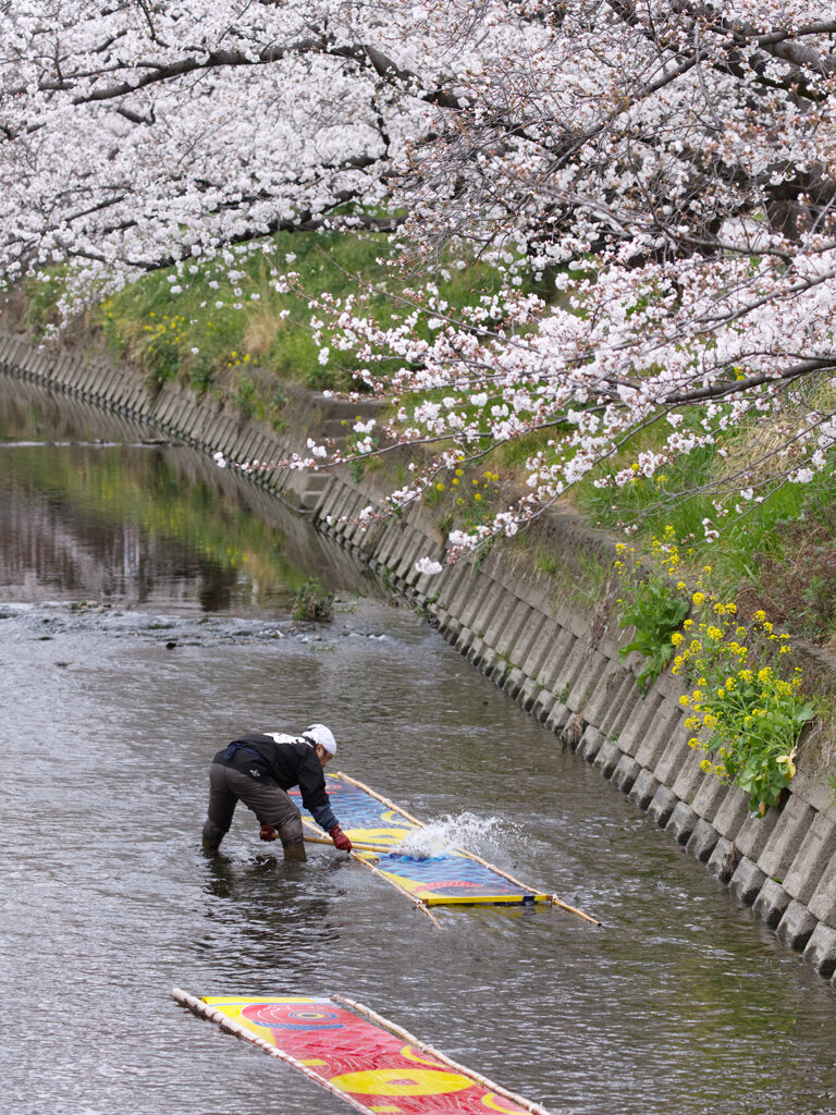 のんぼり洗い