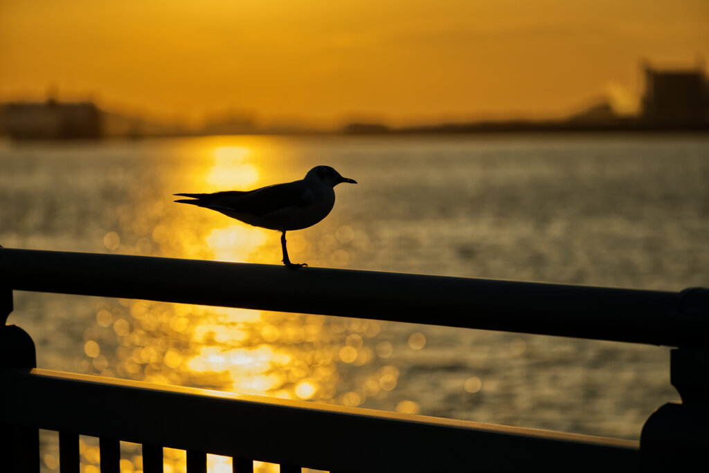 それぞれの黄昏