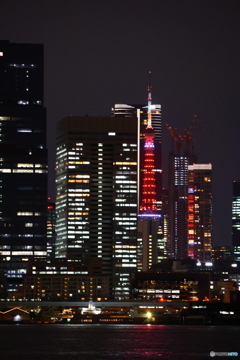 秋の夜 東京タワー