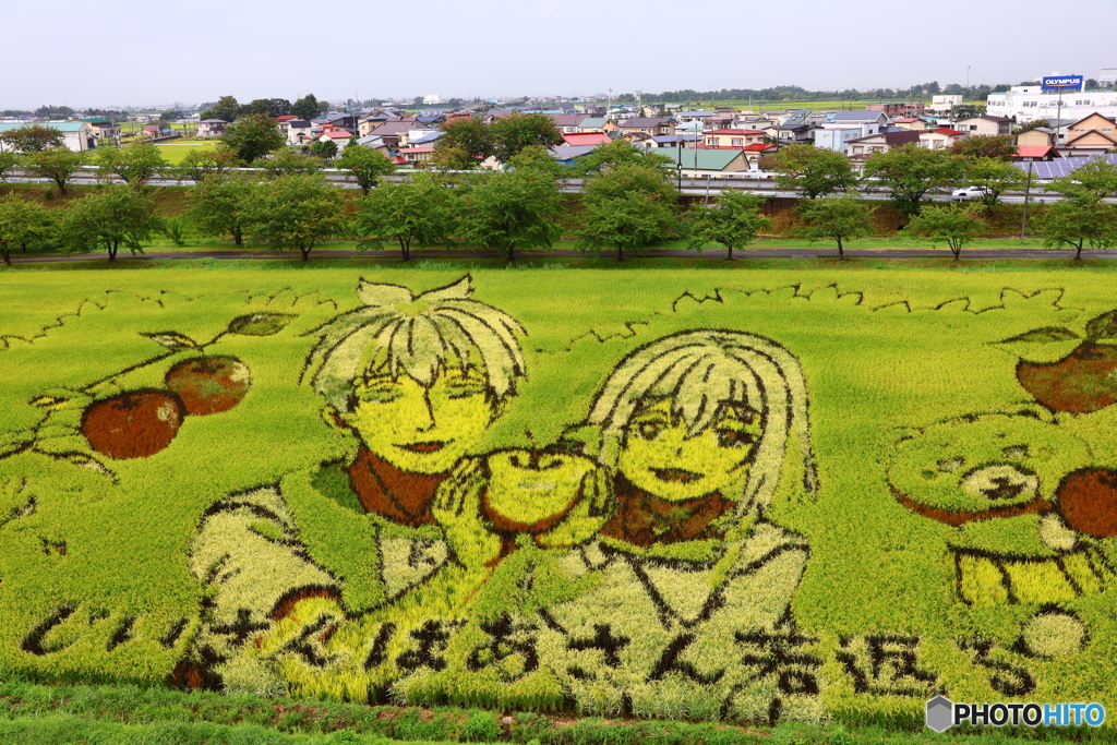 田んぼアート 2024