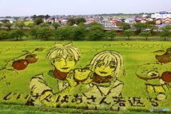 田んぼアート 2024