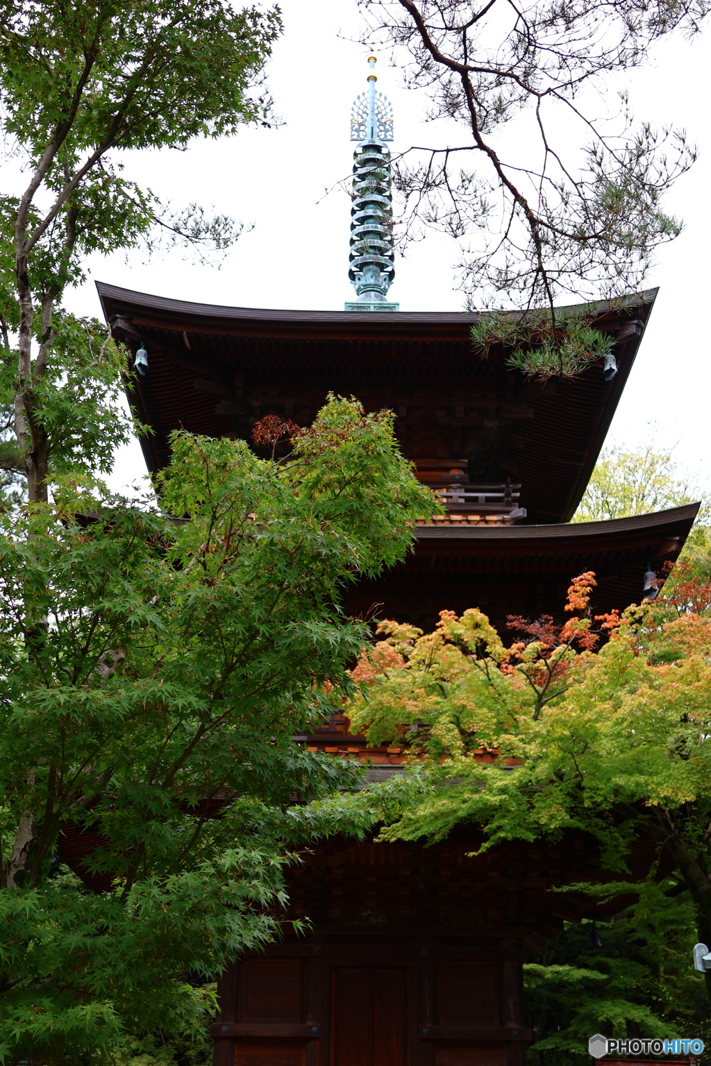 世田谷 豪徳寺