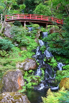 涼を求めて