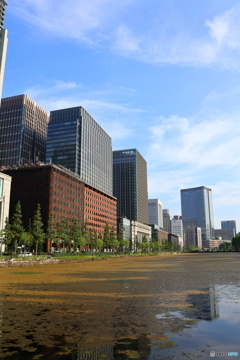 夏休みの大手町