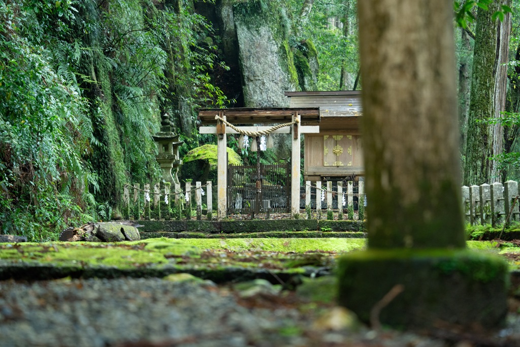 近所の滝まで散歩
