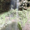 白玉の滝