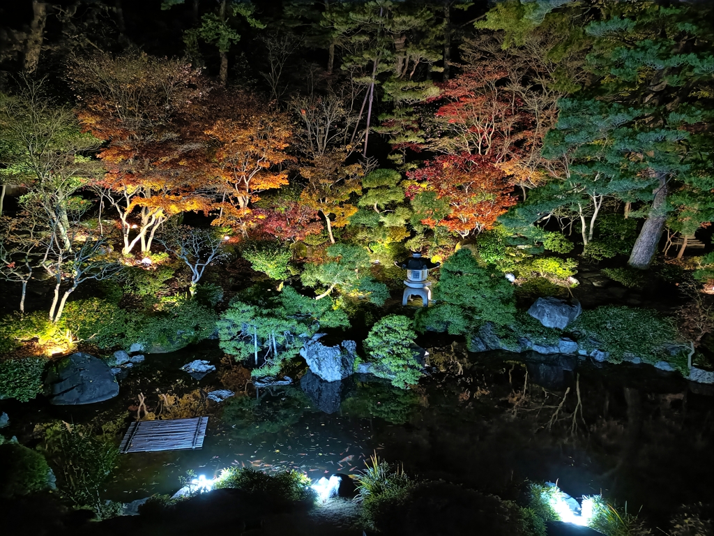 2025・秋。上から眺める紅葉