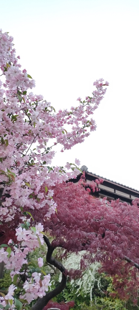 三色