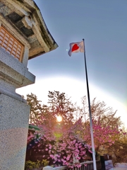 日の丸と♡
