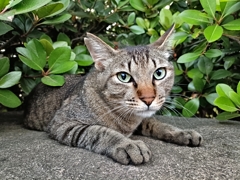大丈夫でしょうか？