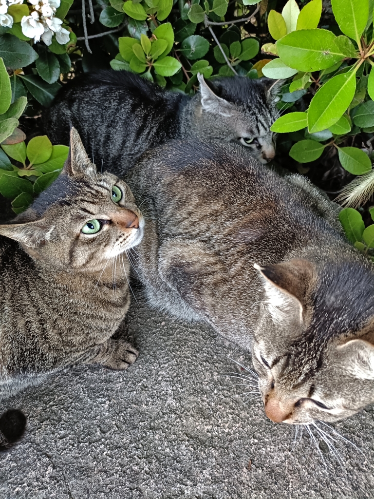 3密