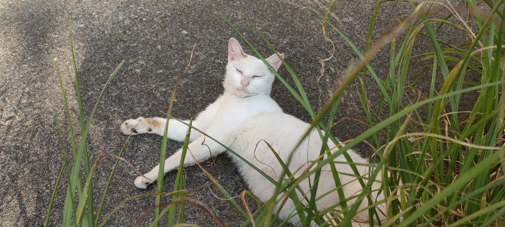 寝ぼけ眼