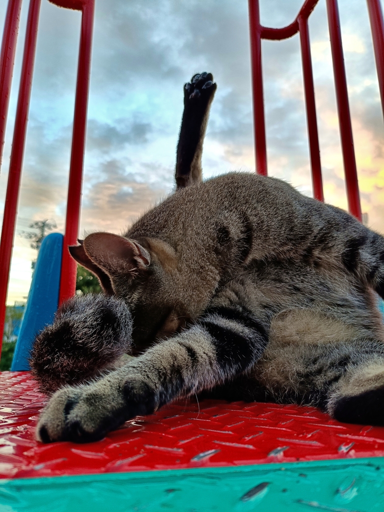 朝のラジオ体操