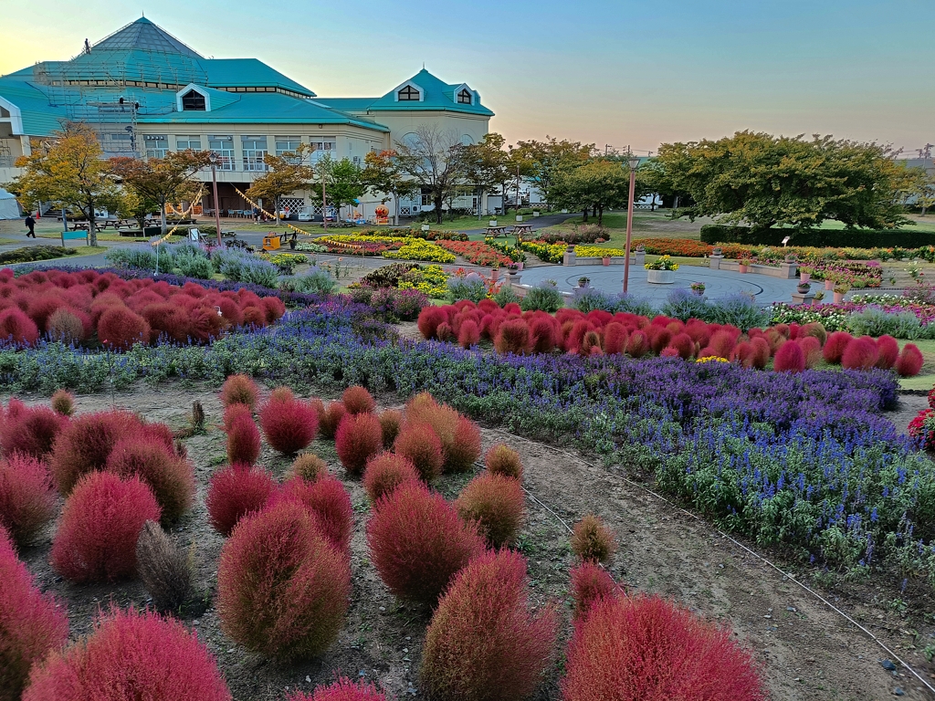 秋。新潟を散策中。