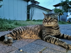 俺を倒していけ！！