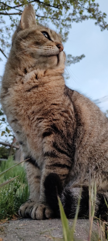 朝日が眩しいぜ