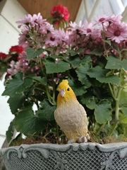 ようこそ！！