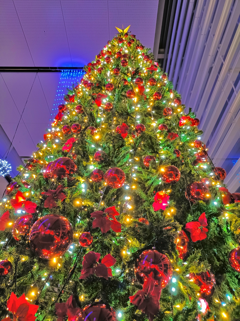 新潟のクリスマス。きらびやか