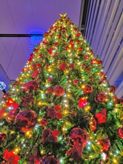 新潟のクリスマス。きらびやか