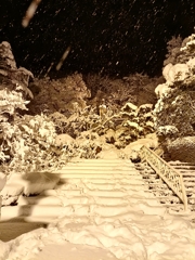 新潟の年末年始。冬景色