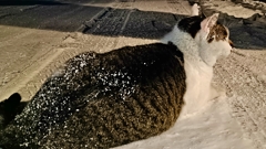 雪だぁ！！