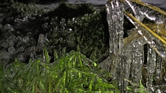 氷結