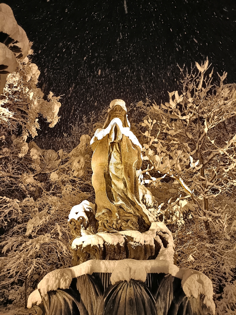 新潟の年末年始。雪を纏いて