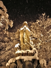 新潟の年末年始。雪を纏いて