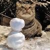 雪だるま＆猫だるま