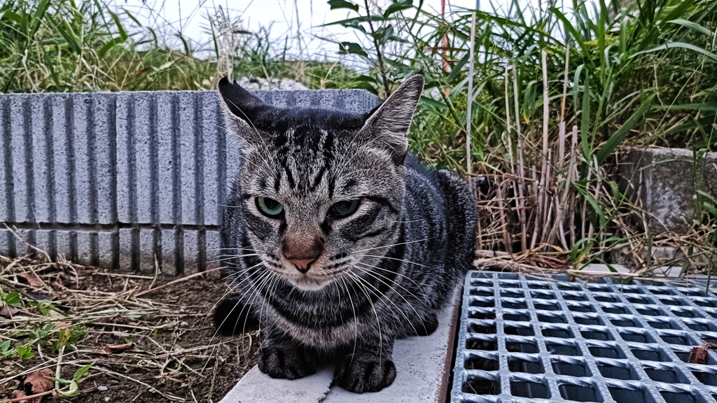 ・・・・どもっ。