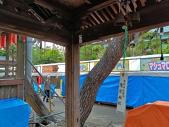 蒲原まつり・準備万端