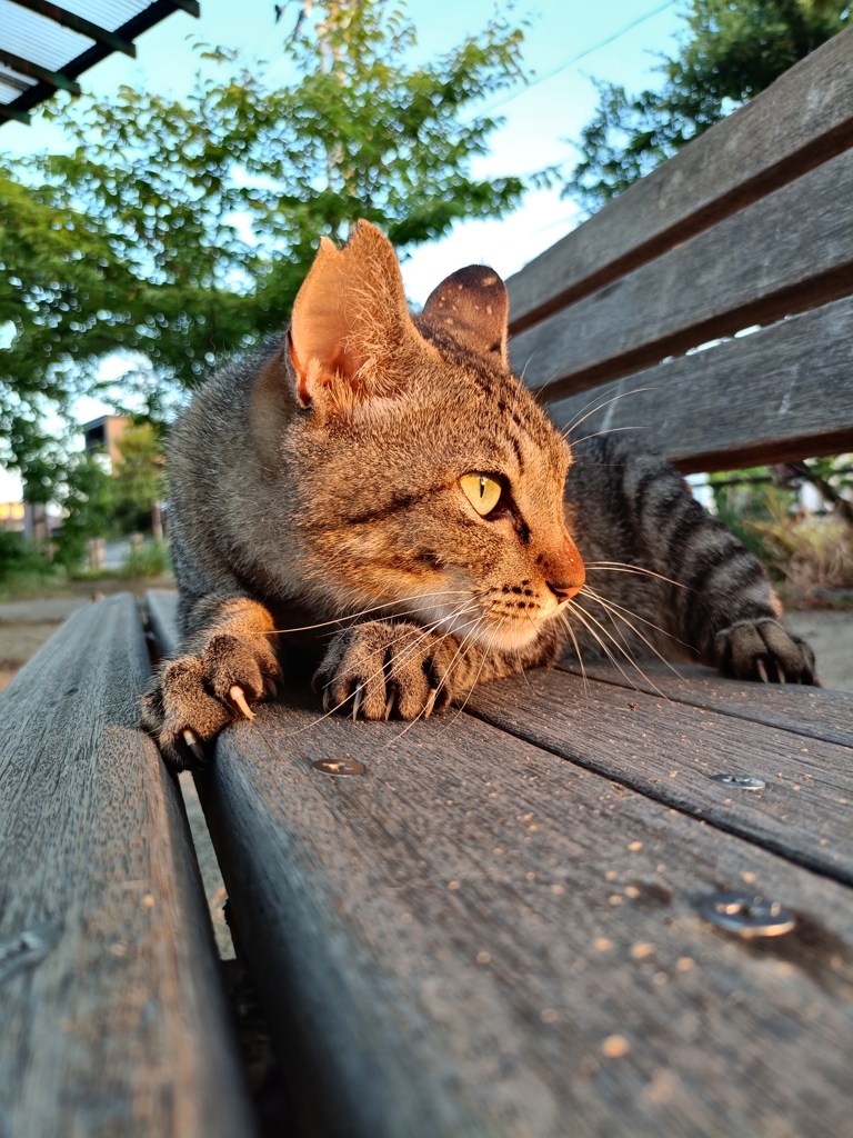 あぁ。連休最後の朝がきちゃった・・・・。