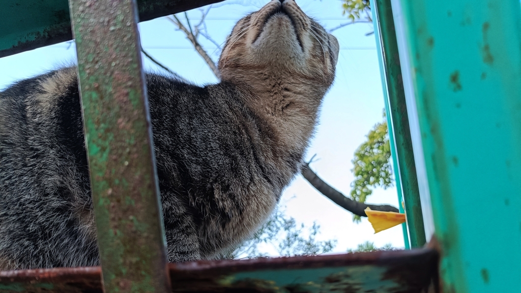 この上か・・・・