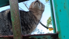 この上か・・・・