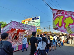 蒲原まつり・エスターバニー