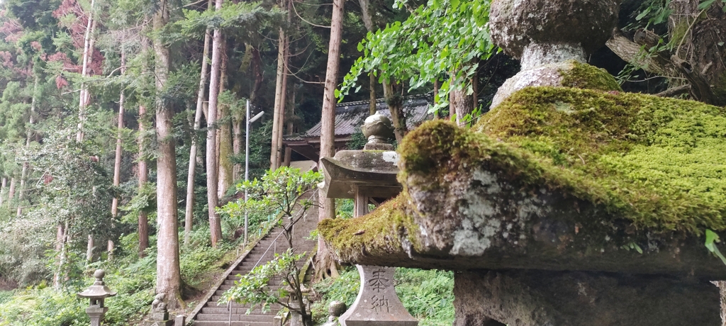 緑に覆われ