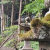 緑に覆われ