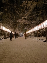 新潟の年末年始。　弥彦神社