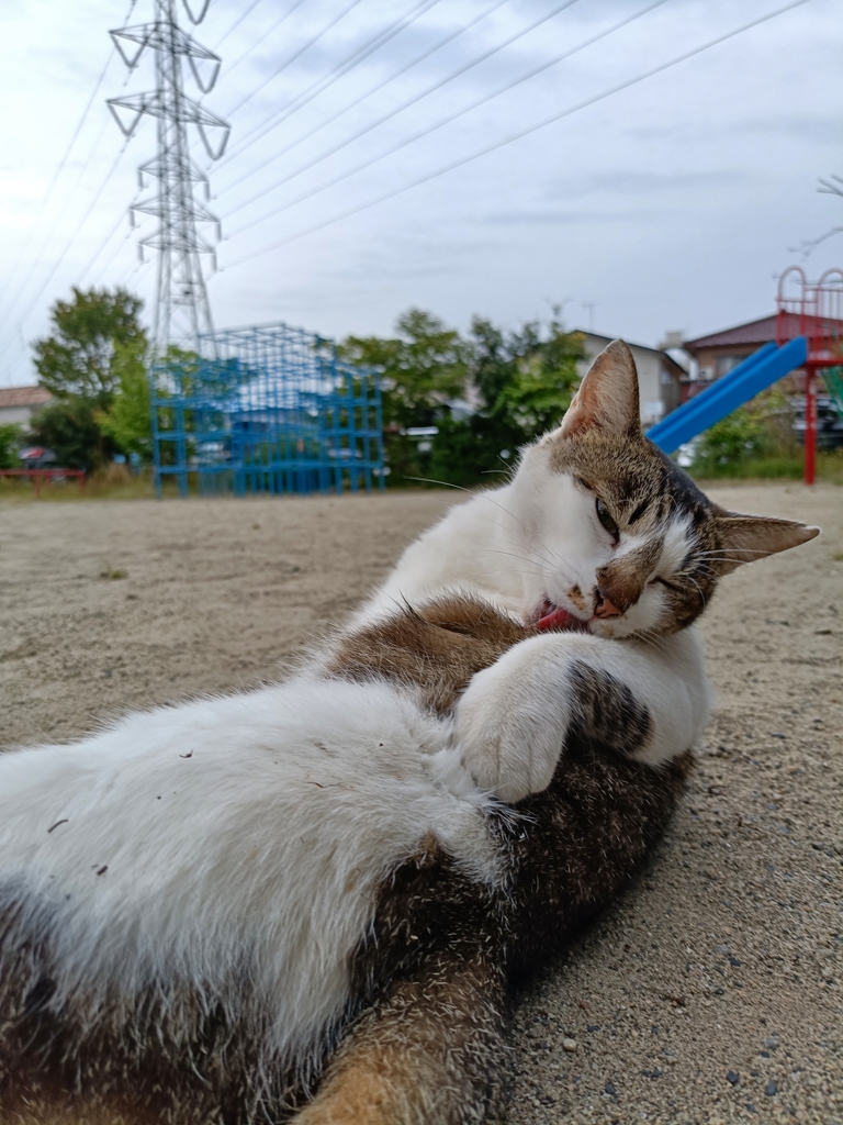 良くてよ？坊や
