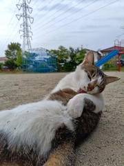 良くてよ？坊や