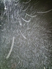 雪ん子のフラメンコ