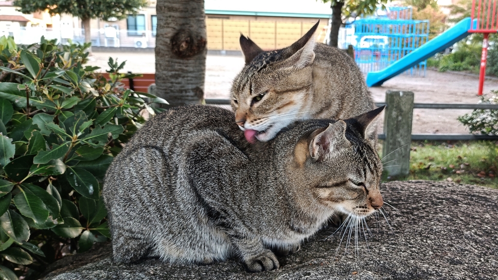 仲良し