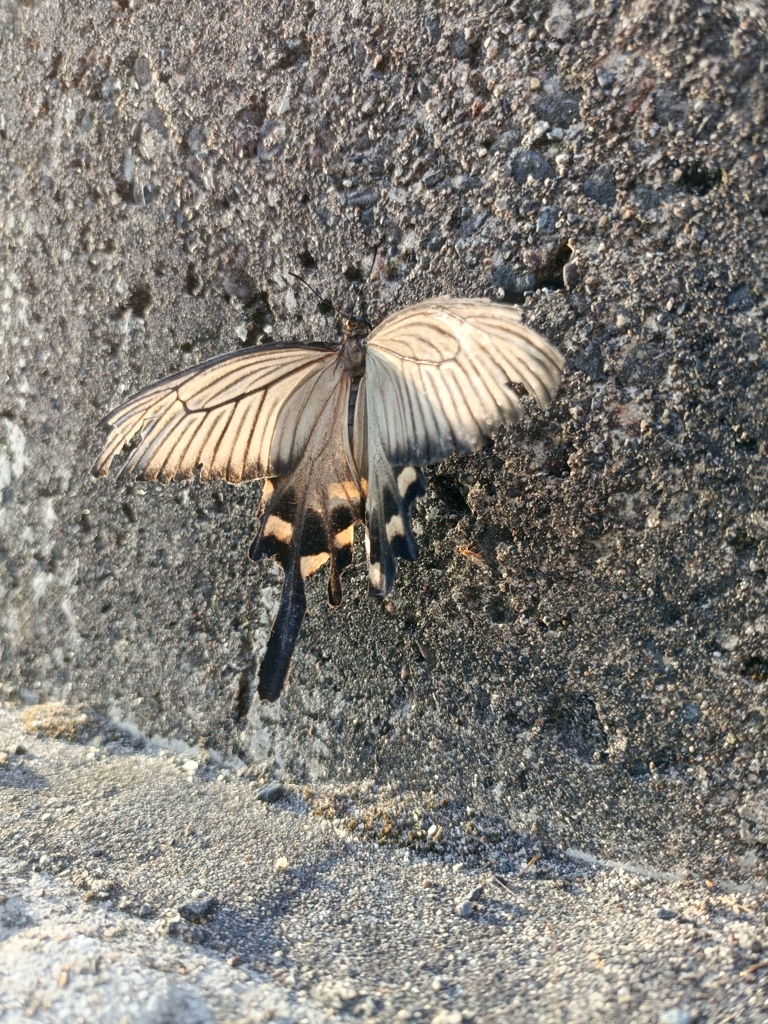 自然の循環