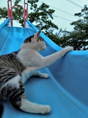 鬼ごっこ