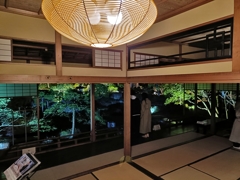 2025・和から観る紅葉