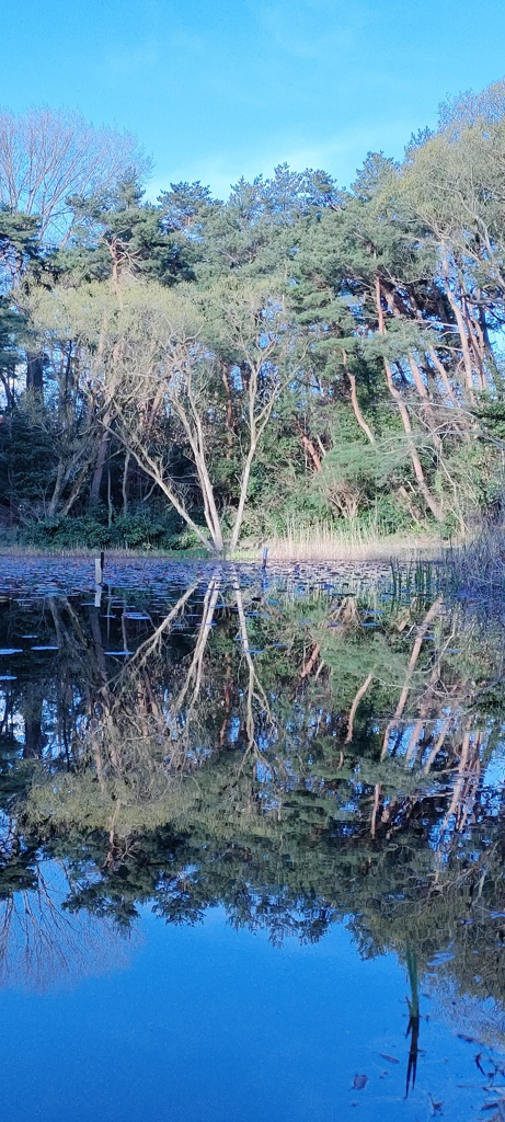 鏡