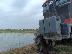田植え