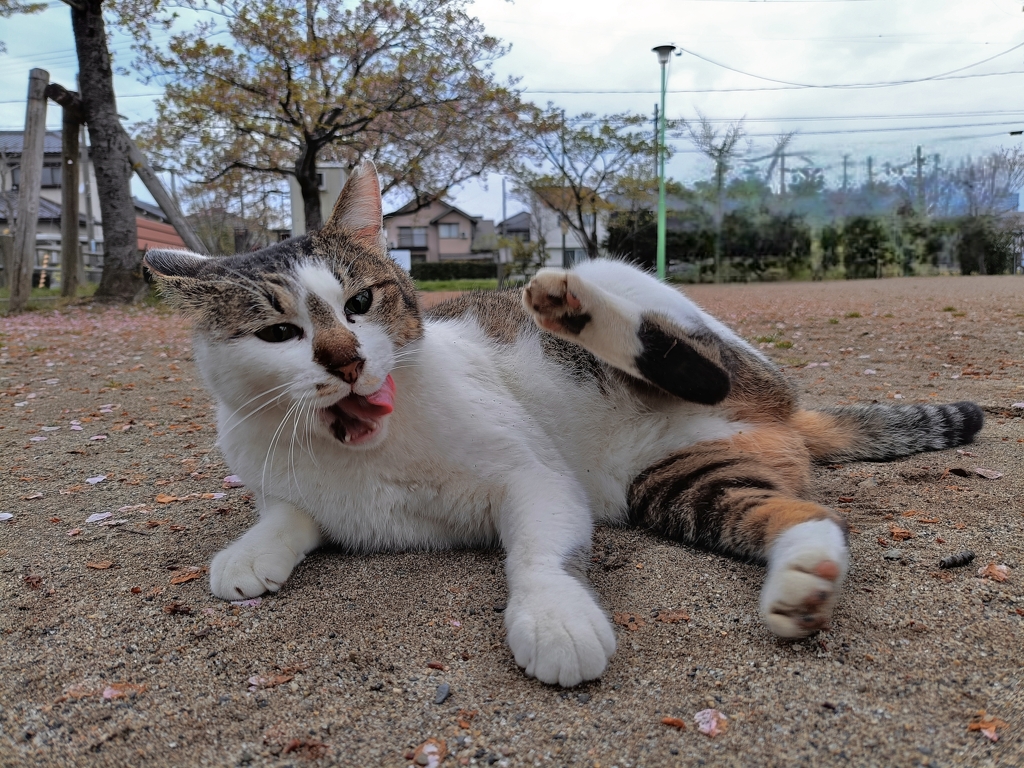 タイトルが考え付かないかっこう
